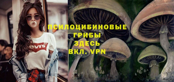 ALPHA-PVP Алексин