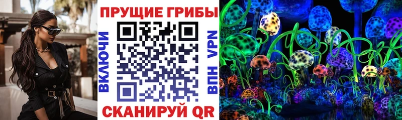 гидра ONION  где можно купить   Заволжье  Псилоцибиновые грибы Psilocybine cubensis 